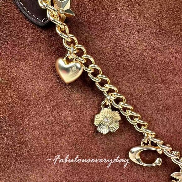 Coach Charm Chain Strap Brass/Gold CCE78 Star Heart Bow C Cherry Tea rose No Bag - Picture 3 of 7